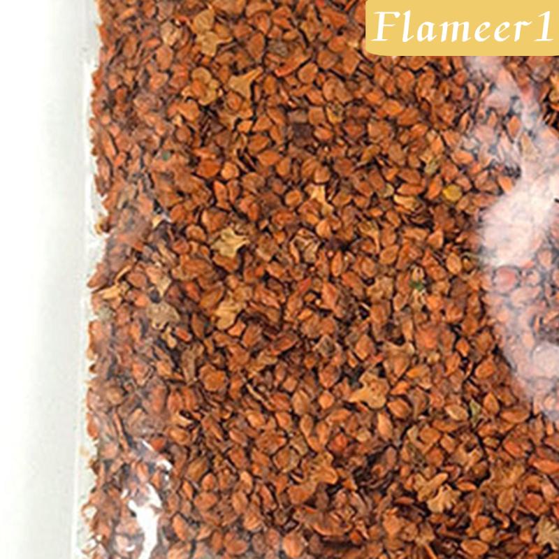 [Flameameer1] Lá Cây Nhỏ Trang Trí Bàn Phong Cảnh