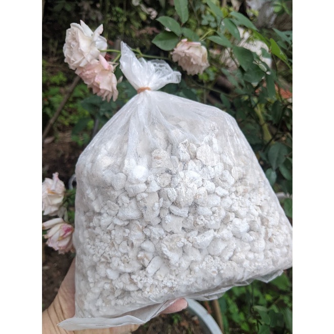 Men rượu vỏ trấu - men vỡ