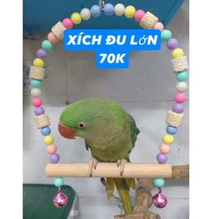 Xích đu cho vẹt
