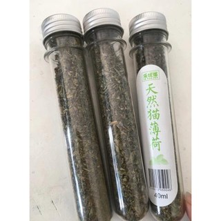 Cỏ Mèo Khô (Catnip)