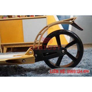Xe Scooter ALS-A5YA