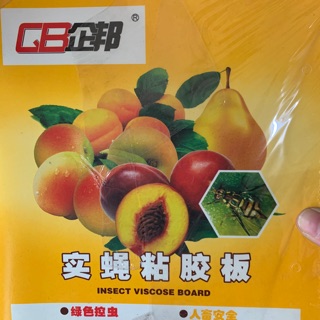 Set 10 bẫy dính ruồi vàng