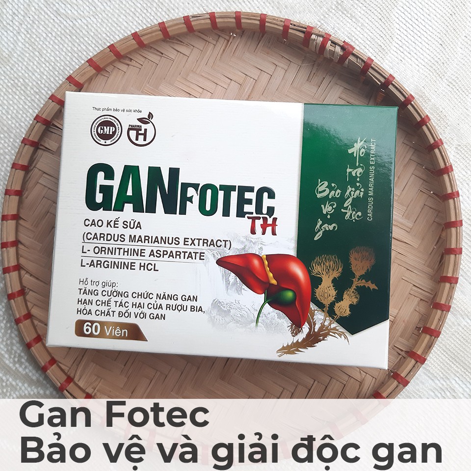 [GIÁ SỈ] GANFOTEC TH - Thanh nhiệt, giải độc gan, tăng cường chức năng gan, phục hồi tổn thương gan do bia rượu và các b