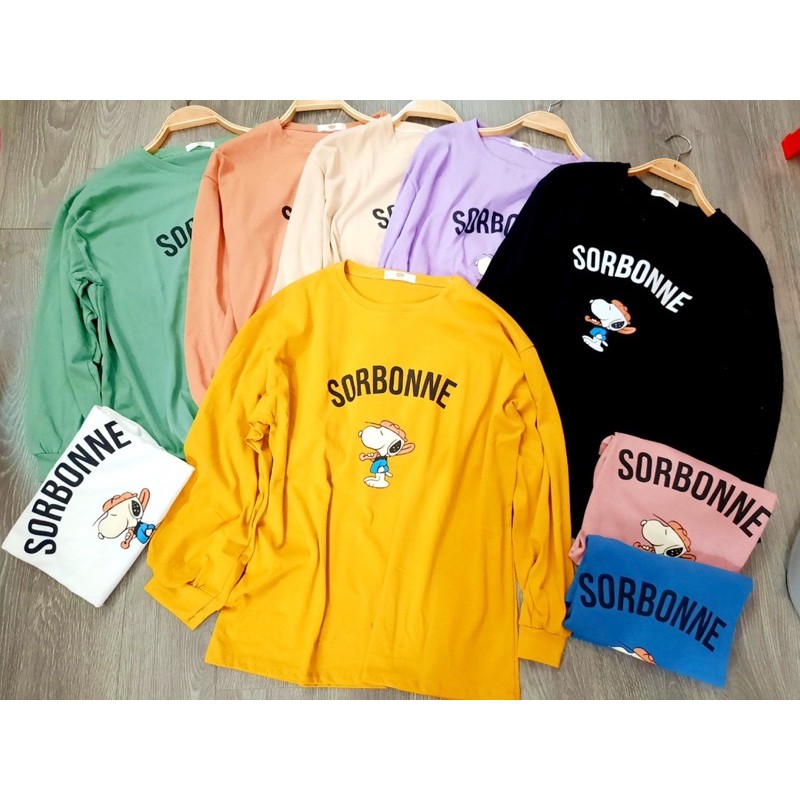 Áo Sweater Quảng Châu Hoạt Hình Dễ Thương Full Màu Ảnh Thật P01❤️❤️