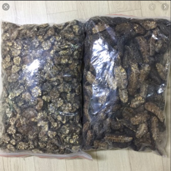 Trái nhàu sấy khô 1KG - ND053