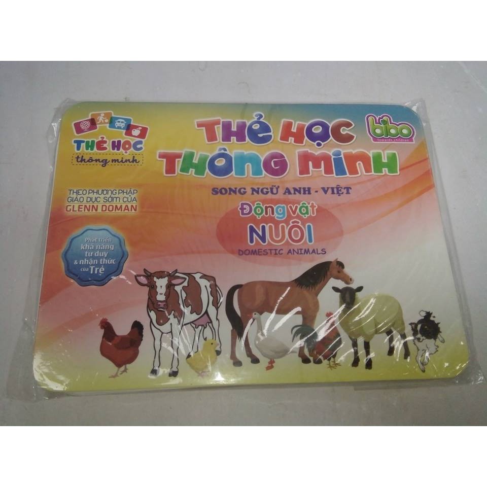 Thẻ học thông minh cỡ to - Flash card