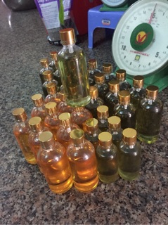 Tinh dầu tràm huế