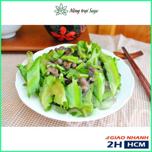 Hạt giống Đậu Rồng Dễ Trồng,, Trái Sai, Dài, Dễ Chăm Sóc (gói 10 gr) - Nông Trại Sago