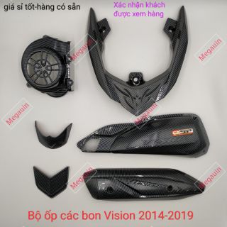 Ốp các bon trang trí Vision 2014 - 2020