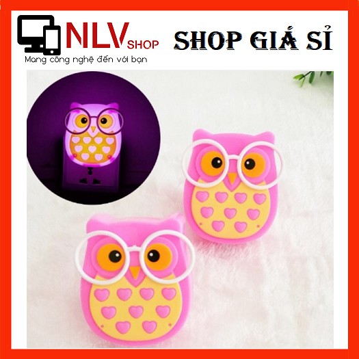ĐÈN CÚ MÈO TỰ ĐỘNG SÁNG VÀO ĐÊM