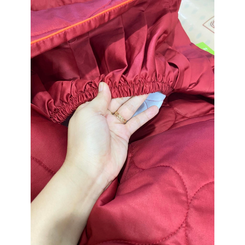 Bộ Drap chun chần EVERON MDSC092