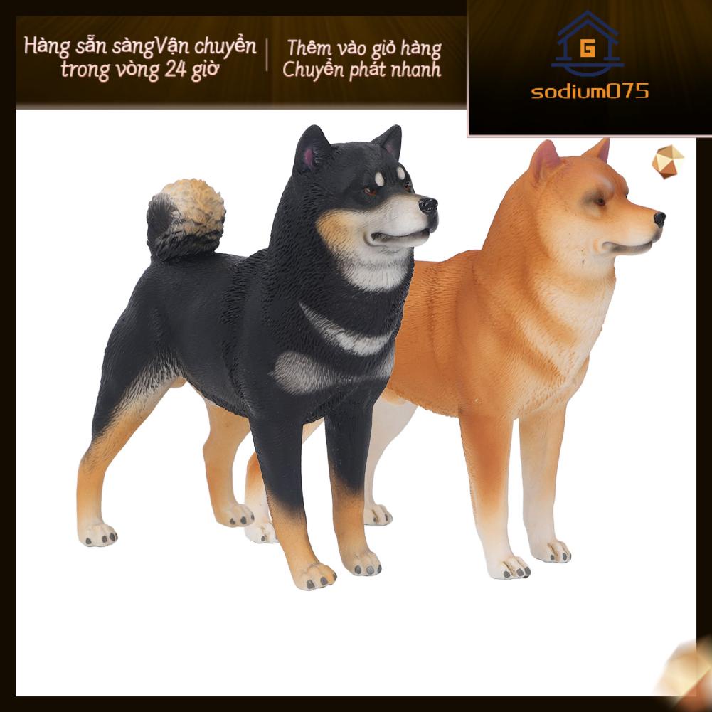 Sodium075 Dog Figurine Sống động như thật Không độc hại Đồ chơi trẻ em Mô hình vật bằng nhựa Trang trí cho Phòng ngủ Nghiên cứu