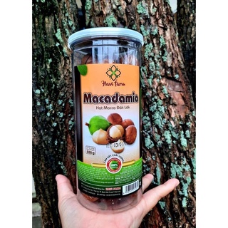 hạt Mắcca ĐăkLăk 500g