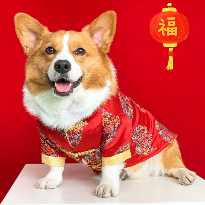 Quần áo cho chó cưng vào mùa thu và đông Những chú vừa nhỏ dày dặn ấm cotton Bộ đồ lễ hội đặc biệt của Shiba Inu