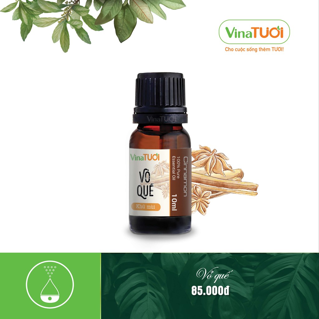 Tinh Dầu Vỏ Quế Nguyên Chất Vina Tươi 10ml - Khử Mùi Nhà Bếp, Mùi Hôi, Ẩm Mốc, Mùi Thuốc Lá