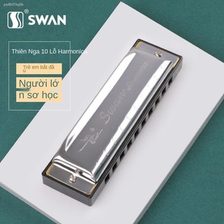 Swan Blues Harmonica 10 lỗ C-Người lớn Trẻ em Học sinh mới bắt đầu Người Tự Biểu diễn chuyên nghiệp