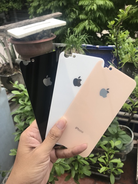 Cường lực lưng hàng loại 1 đủ mã từ IP6-XS MAX