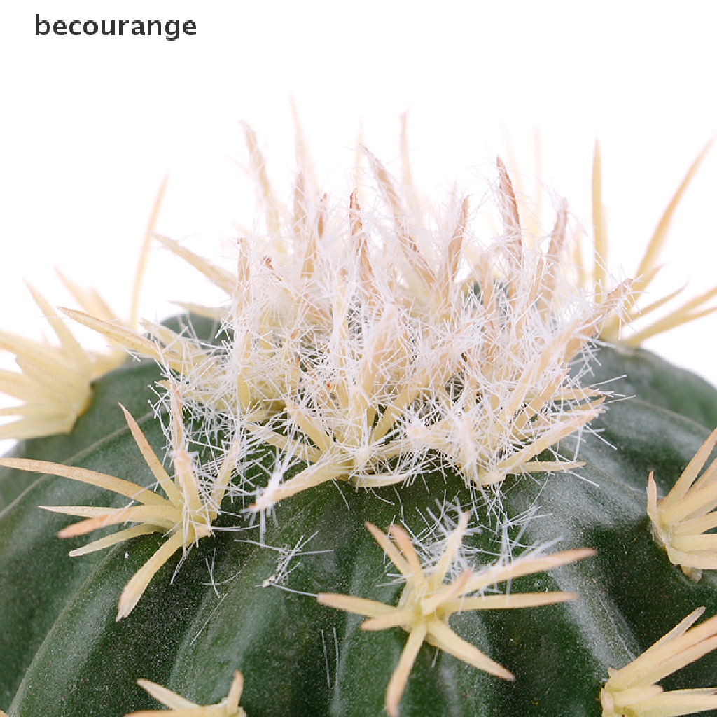 1 Ăng Ten Hình Cây Xương Rồng Trang Trí Xe Hơi