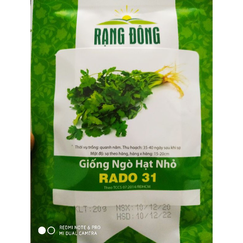 Hạt giống Ngò rí 20gr❤️FREESHIP XTRA❤️