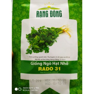 Hạt giống Ngò rí 20gr❤️FREESHIP XTRA❤️