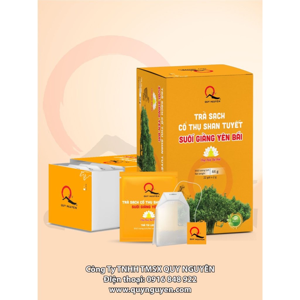 TRÀ SẠCH CỔ THỤ SHAN TUYẾT SUỐI GIÀNG YÊN BÁI -Trà Ban Tra Quy Nguyên