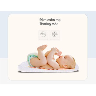 Nôi sơ sinh gấp gọn