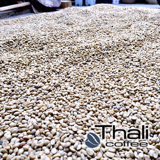 1,5kg cà phê sạch, arabica cầu đât