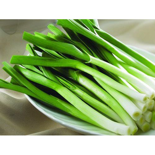 Hạt giống tỏi tây - rau củ quả trồng chậu, sân vườn ban công tỉ lệ nảy mầm cao 1g RADO642