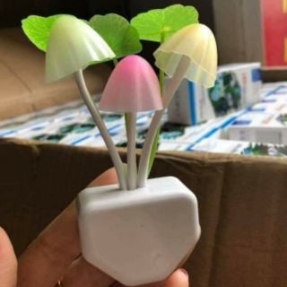 Đèn ngủ hình nấm cảm ứng