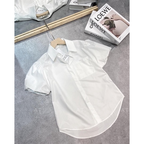 2604STB - SƠ MI TAY BỒNG