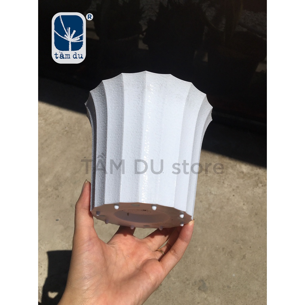 Chậu tròn loe nhựa trắng nhỏ 150x115mm