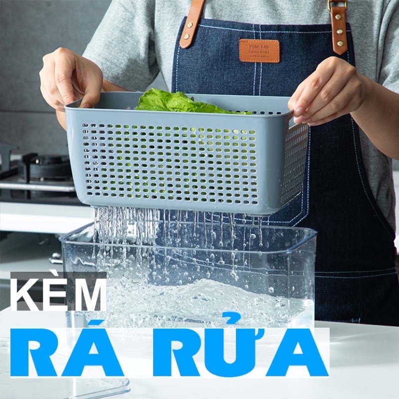 HỘP ĐỂ ĐỒ THỰC PHẨM ĐỂ TỦ LẠNH ĐA NĂNG KÈM RỔ , CÓ LỖ THOÁT KHÍ VÀ KHAY RÁO NƯỚC.