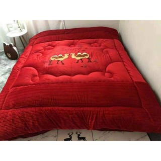 Chăn lạc đà nhập khẩu nguyên chiếc