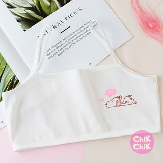 Áo lá học sinh cotton K02