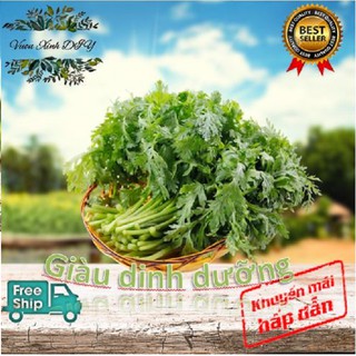 𝕳𝖆̣𝖙 𝖌𝖎𝖔̂́𝖓𝖌 Cải Cúc Vườn Xinh DIY - (CHÍNH HÃNG) Nông Nghiệp F1 sạch , dễ nảy mầm , an toàn , năng suất