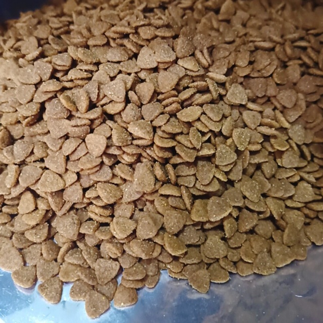Hạt Natural Born cho mèo túi 1kg (Born tím)
