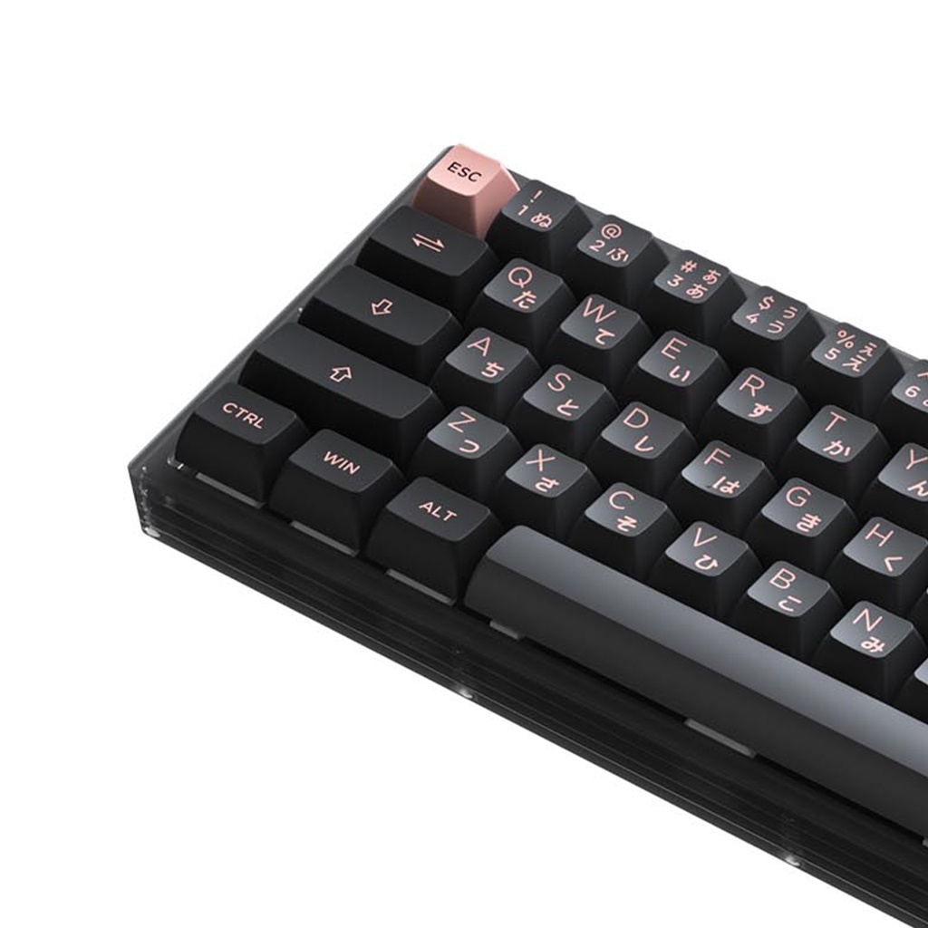 Bàn phím cơ AKKO ACR61 Black - Bảo Hành Chính Hãng