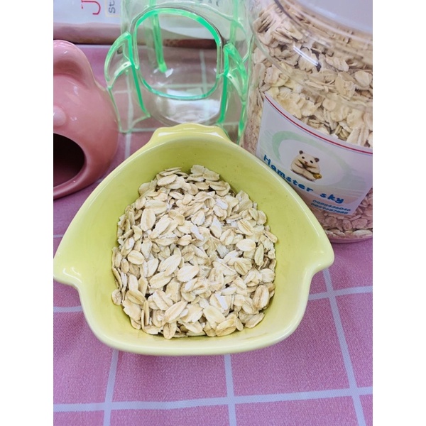 Ăn dặm cho hamster