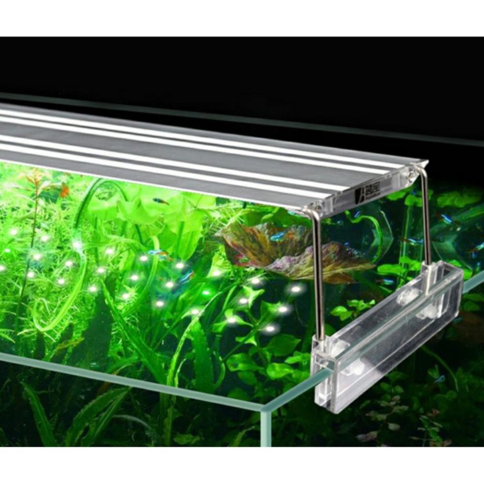 Đèn led aqua blue- đèn led chuyên dụng cho cây thủy sinh ánh sáng 10000k cho bể từ 30-60cm