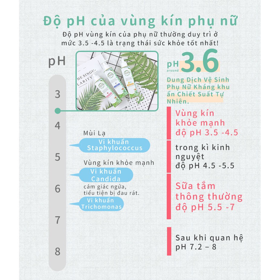 Combo Chăm Sóc Cô Bé Dịu Nhẹ-Dd Vệ Sinh Dạng Bọt + Kem Dưỡng + Xịt Phụ Khoa (Gỗ)