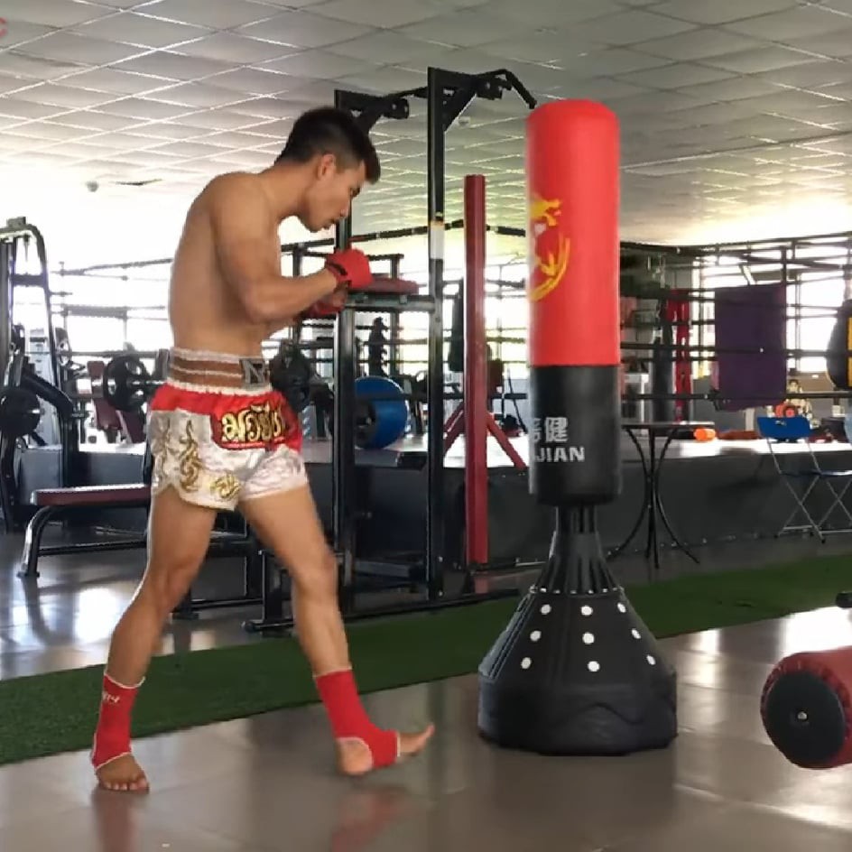 Trụ Đấm Bốc Boxing Tự Đứng Cao Cấp Lật Đật Lắc Lư + Găng Boxing Zooboo Hổ Vằn - Phiên Bản Hot Nhất Phòng Tập