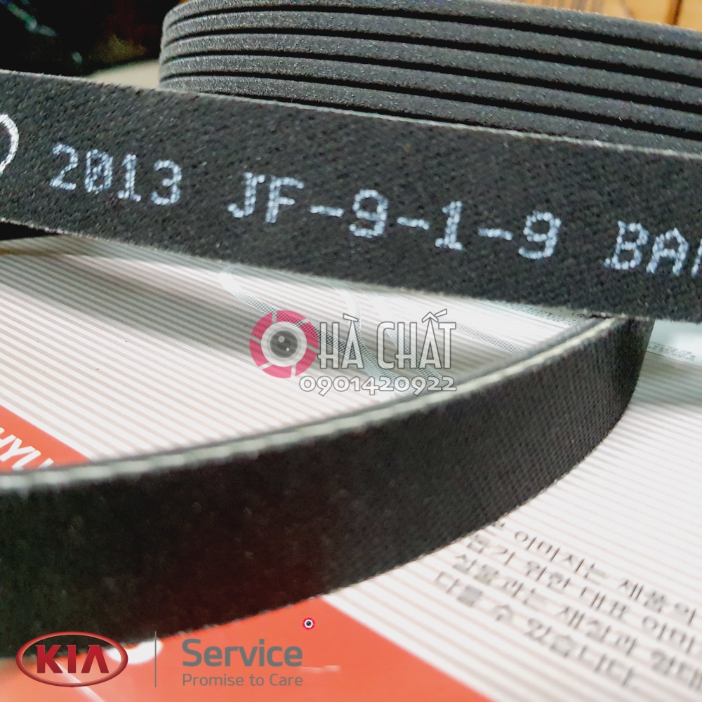 Dây Curoa Tổng KIA CARENS  🚘 Nhập Khẩu Hàn Quốc 🎯 Bảo hành 100% là hàng chính hãng