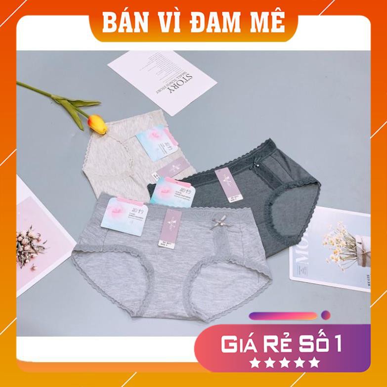 [Đồ lót giá gốc] Set 10 quần lót nữ viền cạp ren hoa, chip Q2252 chuyên áo lót | BigBuy360 - bigbuy360.vn