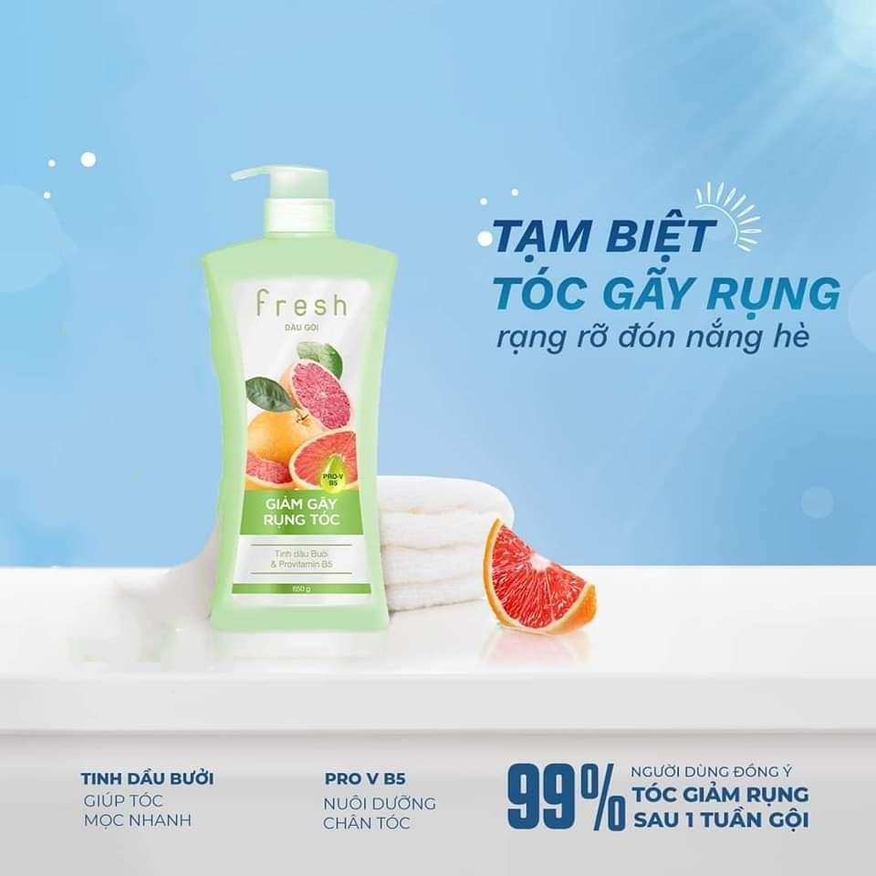 DẦU GỘI BƯỞI FRESH GIẢM GÃY RỤNG TÓC 650G