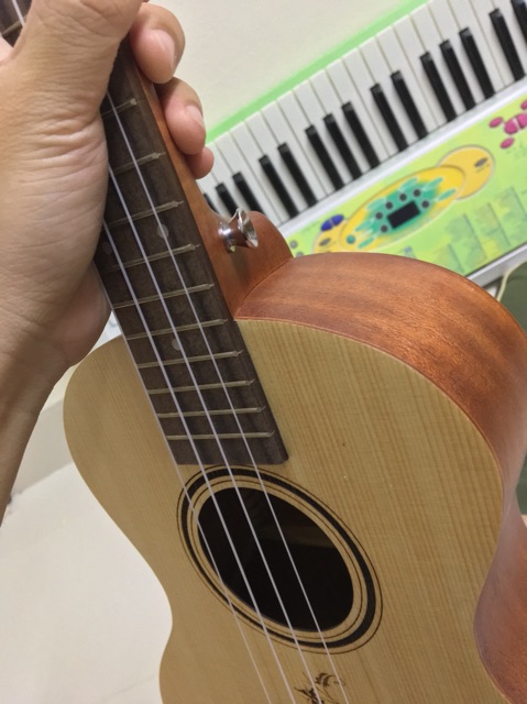 Ukulele tenor hoa