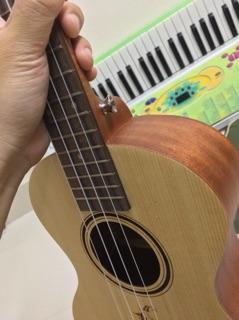 [ GIÁ SẬP SÀN ] Đàn Ukulele tenor hoa