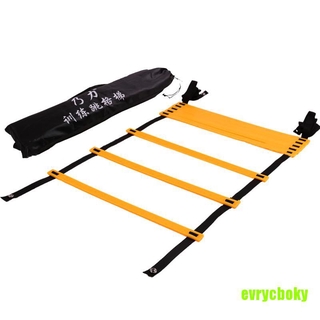 Thang Dây 6m 12 Bóng Đá Luyện Tập Tốc Độ