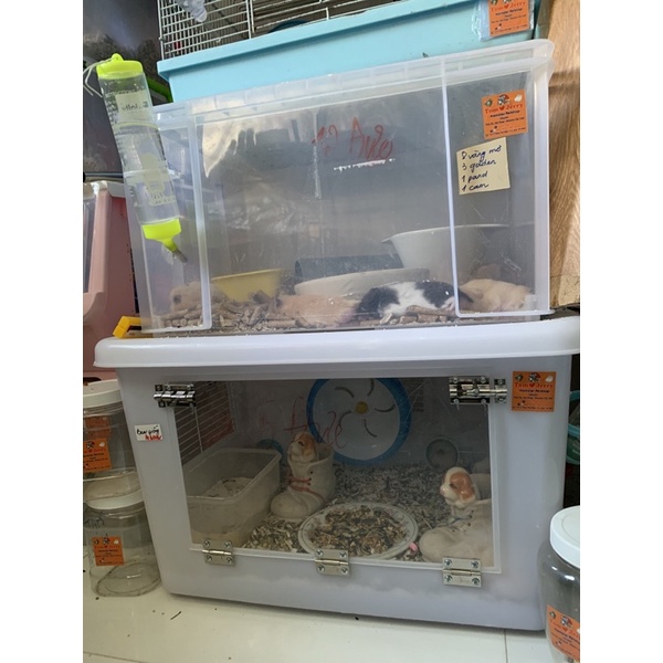 Gắn thêm cho thùng nhựa