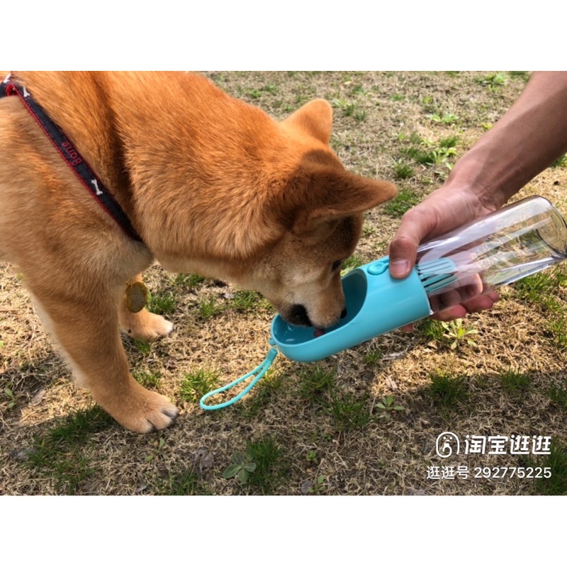 Bình nước du lịch Petkit eversweet travel 2 có lõi lọc nước cho chó mèo