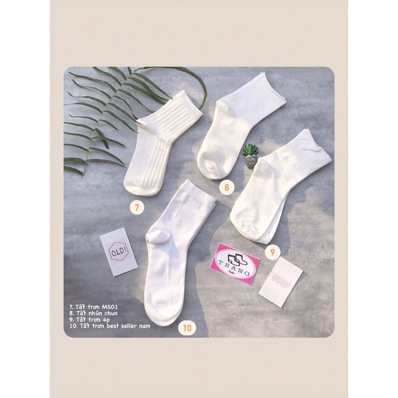 Tất trơn tone màu trắng  - Trangsocks